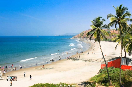 Goa Majorda Beach Holidays Tour Travel Destination