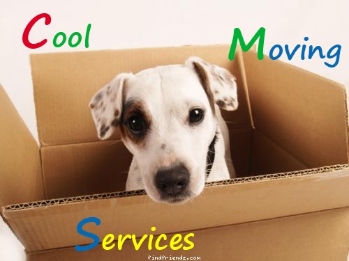 Packers and Movers in Hyderabad @ http://packersandmovers-hyderabad.in/ -- Gentleman along with Truck - Any Movers’ Close friends