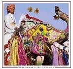 Rajasthan People 