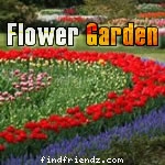Flower Gardens